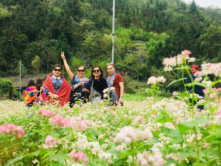 MÙA TAM GIÁC MẠCH HÀ GIANG